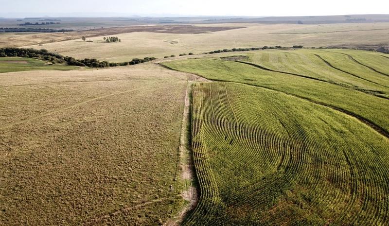 0 Bedroom Property for Sale in Harrismith Free State